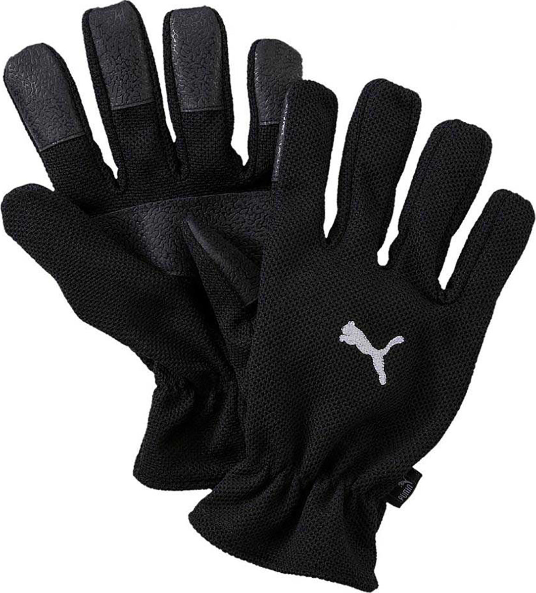 Winter Players